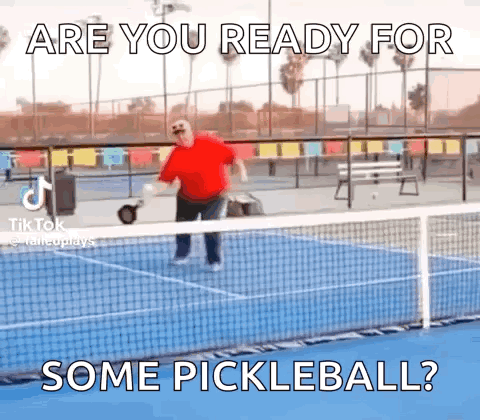 Pickleball GIF
